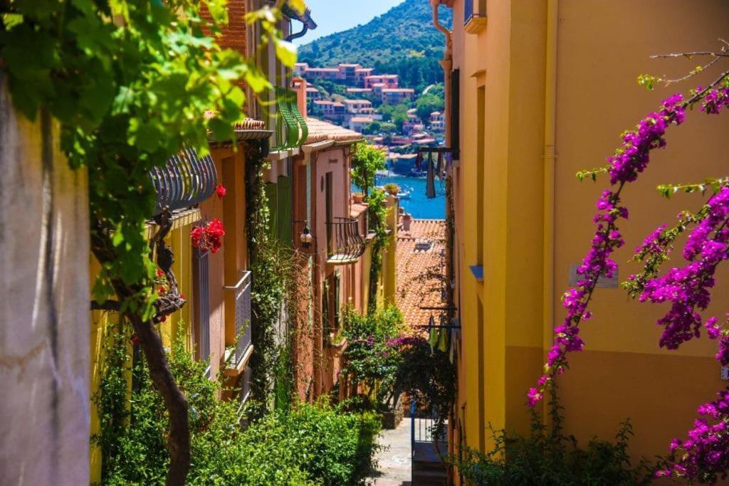 T5 Corail - Centre - Rooftop - Barbecue - Parking Collioure